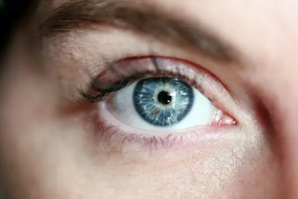 Occhio azzurro intenso, con iride dettagliata che riflette la luce. La sua trasparenza evoca il **vitrea significato** di profondità e purezza.
